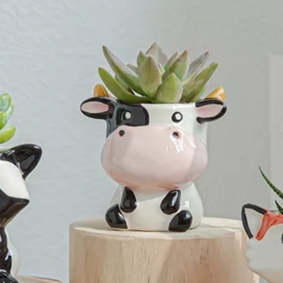 Other - 5⭐ rated 🧡 COW Small Ceramic Planter